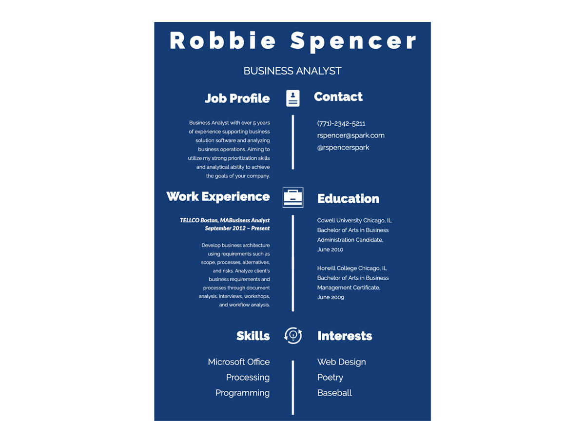 Business Visual Resume Template